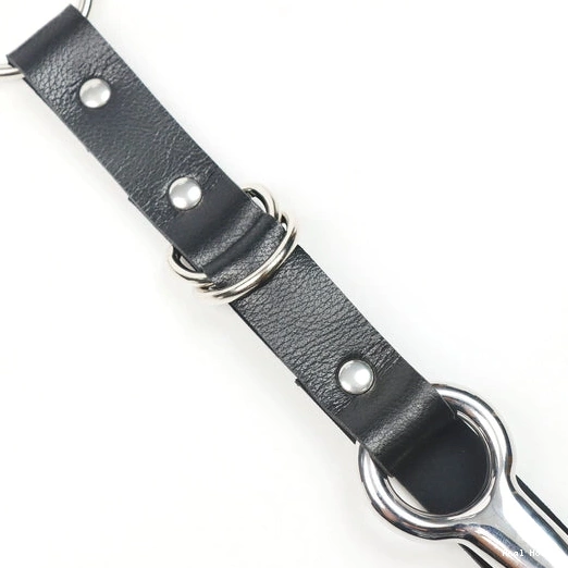 Anal Hooks Hook Leash Anal Kinky with EverydayUse Collar and 5853 0108